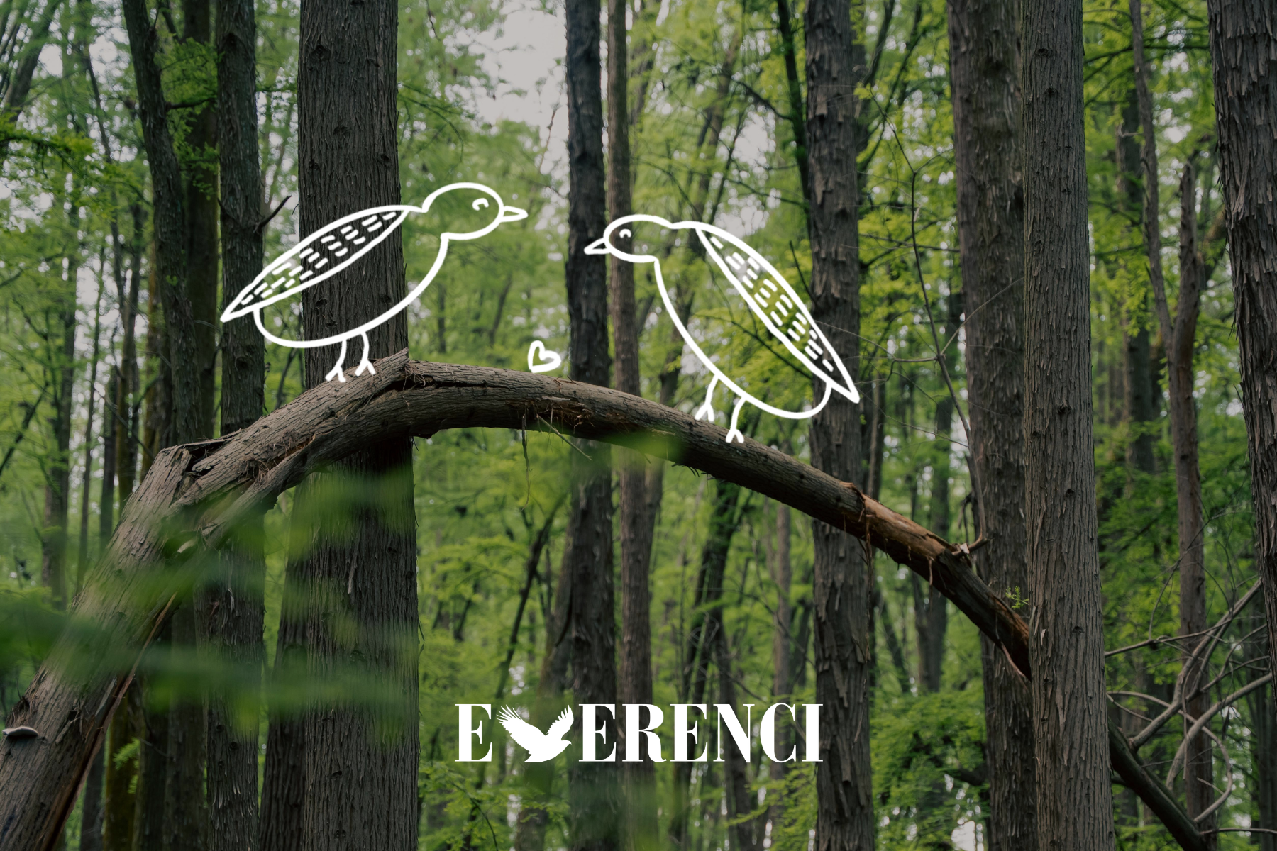 How to Choose a Gift That Feels Personal