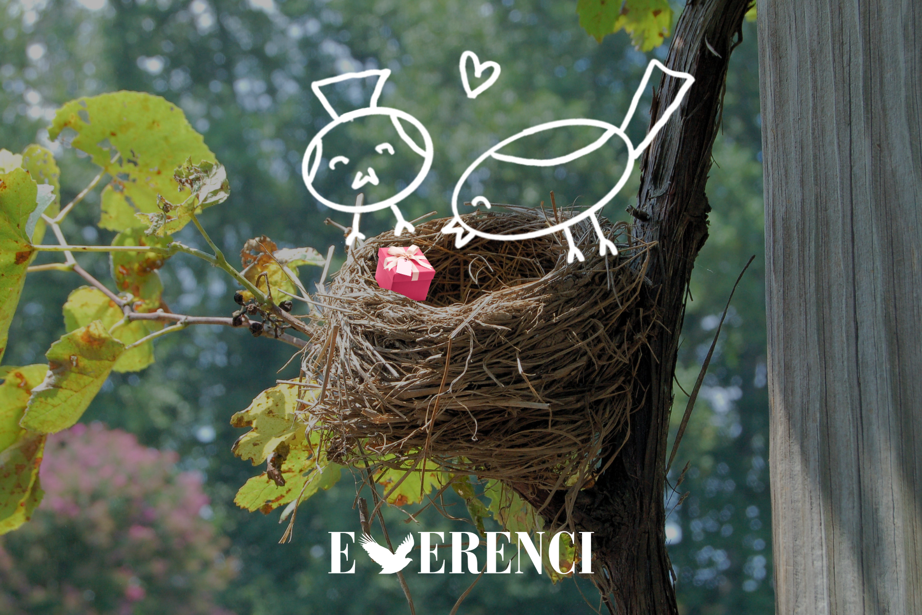 Gift Ideas for Someone Who Already Has Everything